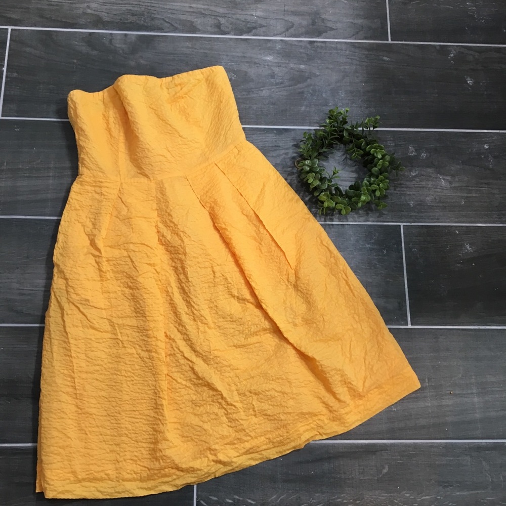 J Crew Embossed- Cotton Lorelei Dress